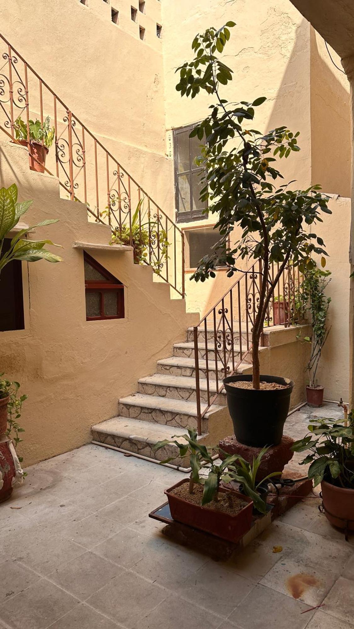 Hotel Margarita Merida Ngoại thất bức ảnh